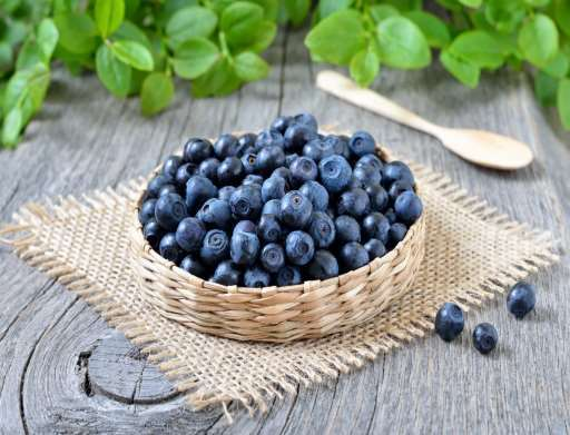 Bilberry extract — representative ingredient image