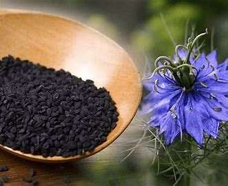 Black cumin seeds — representative ingredient image