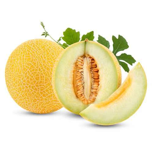 GliSODin cantaloupe — representative ingredient image