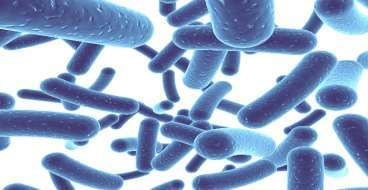 Probiotics — representative ingredient image