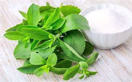 Stevia — representative ingredient image