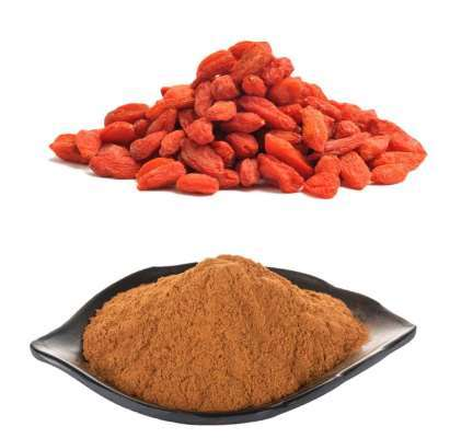 Goji berry extract — representative ingredient image