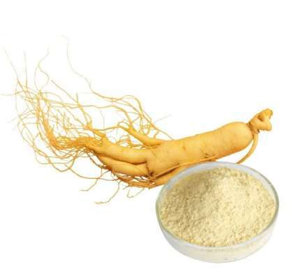 Ginseng extract — representative ingredient image