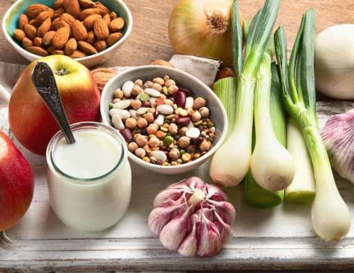 Prebiotics (FOS) — representative ingredient image